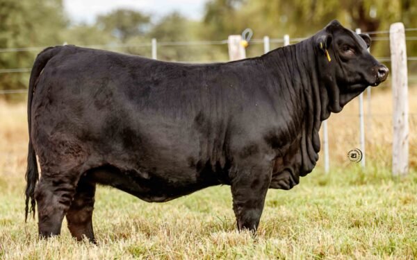 Lote 02A, 02B y 02C
